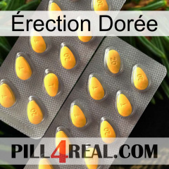 Érection Dorée cialis2